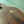 Moose Lake Live-Edge Charcuterie Board